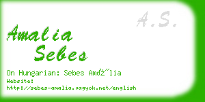 amalia sebes business card